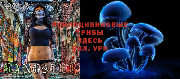 трава Беломорск